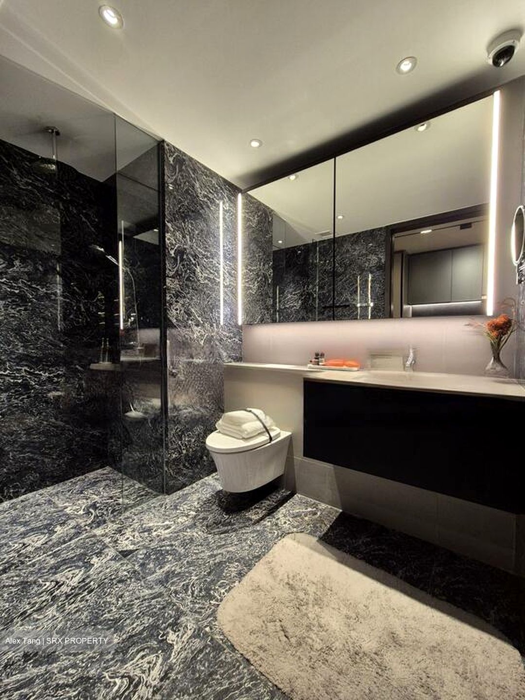 Sophia Road (D9), Condominium #460356781